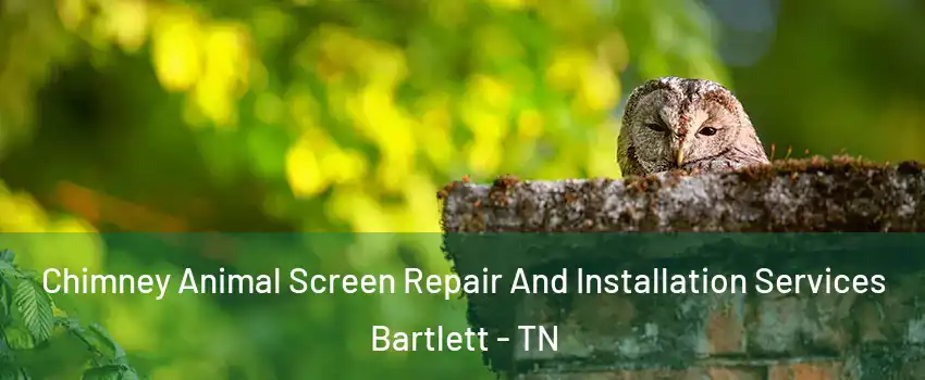  Chimney Animal Screen Repair And Installation Services Bartlett - TN