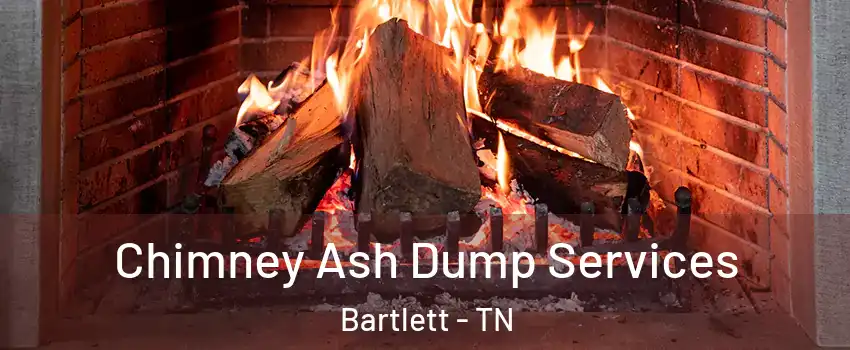  Chimney Ash Dump Services Bartlett - TN