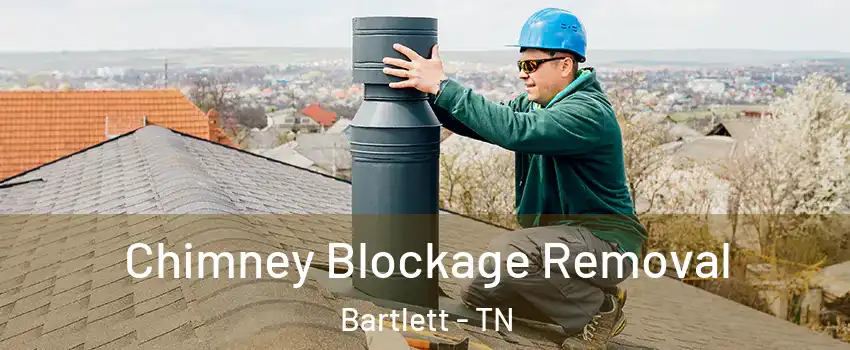  Chimney Blockage Removal Bartlett - TN