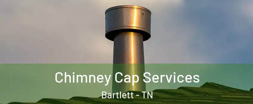 Chimney Cap Services Bartlett - TN
