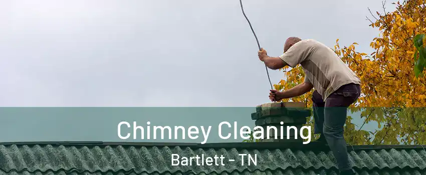  Chimney Cleaning Bartlett - TN