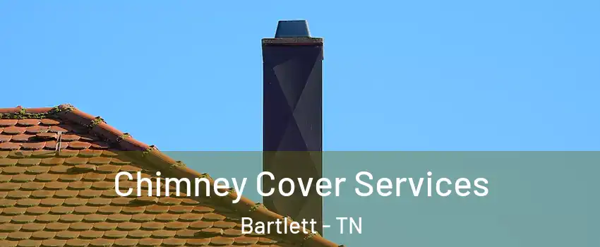  Chimney Cover Services Bartlett - TN