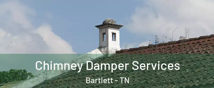  Chimney Damper Services Bartlett - TN