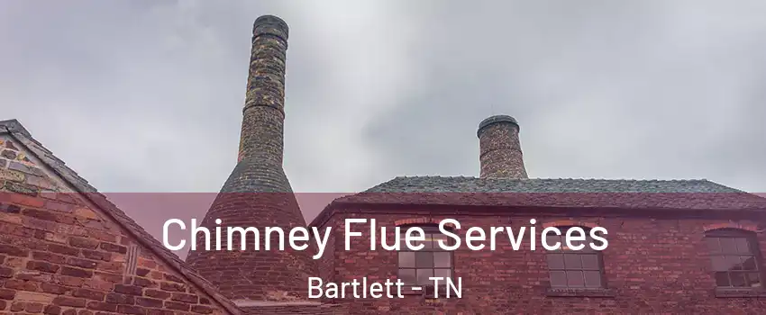  Chimney Flue Services Bartlett - TN