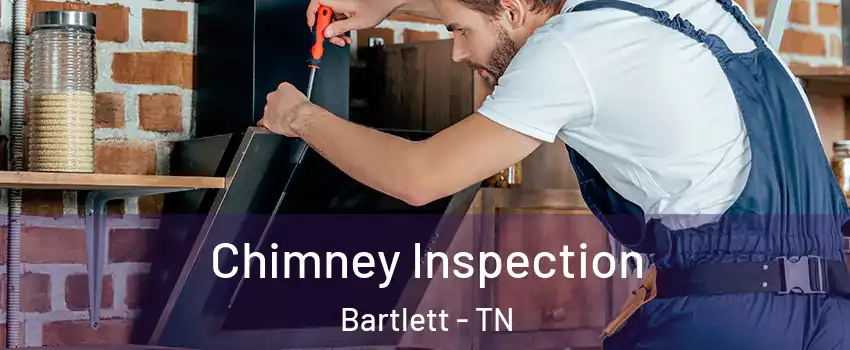  Chimney Inspection Bartlett - TN