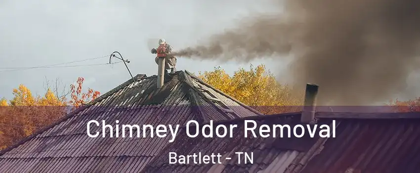  Chimney Odor Removal Bartlett - TN