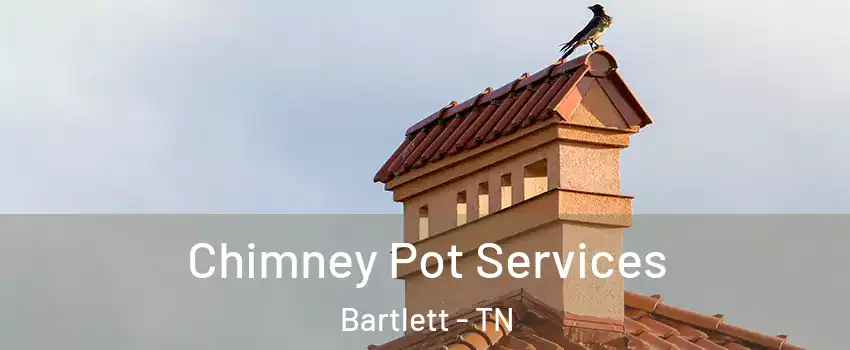  Chimney Pot Services Bartlett - TN