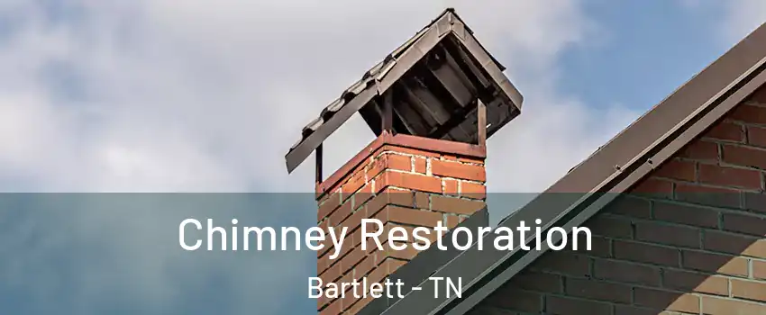  Chimney Restoration Bartlett - TN