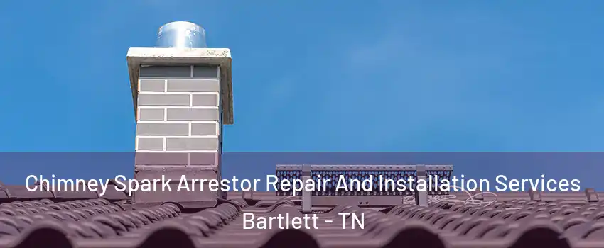  Chimney Spark Arrestor Repair And Installation Services Bartlett - TN