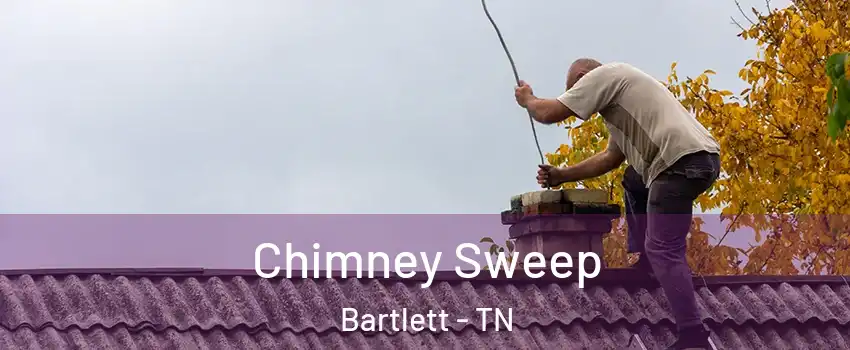  Chimney Sweep Bartlett - TN