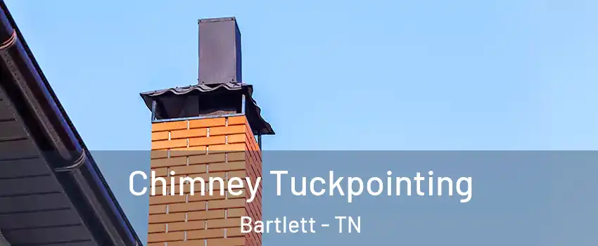  Chimney Tuckpointing Bartlett - TN