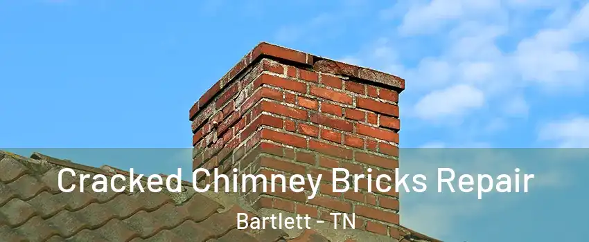  Cracked Chimney Bricks Repair Bartlett - TN