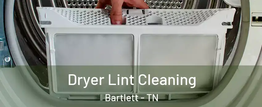  Dryer Lint Cleaning Bartlett - TN