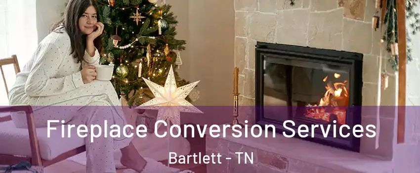  Fireplace Conversion Services Bartlett - TN