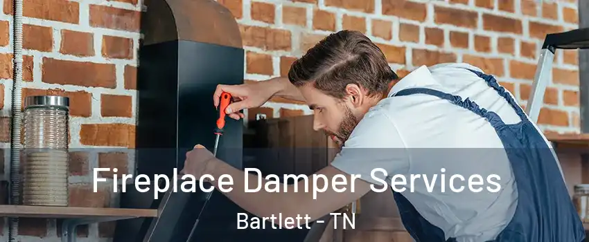  Fireplace Damper Services Bartlett - TN