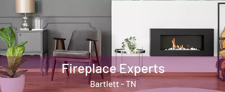  Fireplace Experts Bartlett - TN