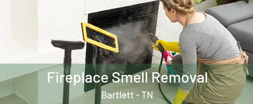  Fireplace Smell Removal Bartlett - TN