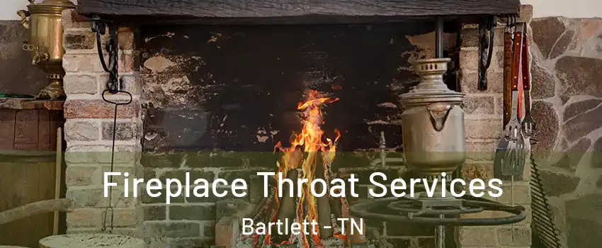  Fireplace Throat Services Bartlett - TN