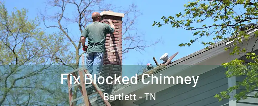  Fix Blocked Chimney Bartlett - TN