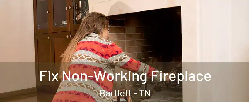  Fix Non-Working Fireplace Bartlett - TN