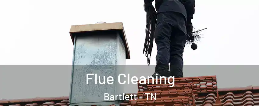  Flue Cleaning Bartlett - TN