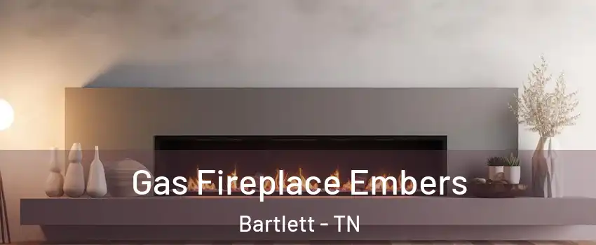  Gas Fireplace Embers Bartlett - TN