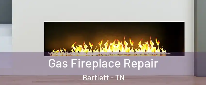  Gas Fireplace Repair Bartlett - TN