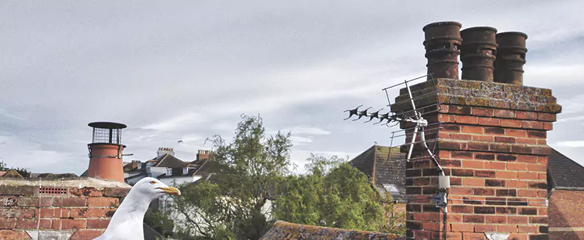 Chimney Cleaning And Restoration in Bartlett, Tennessee