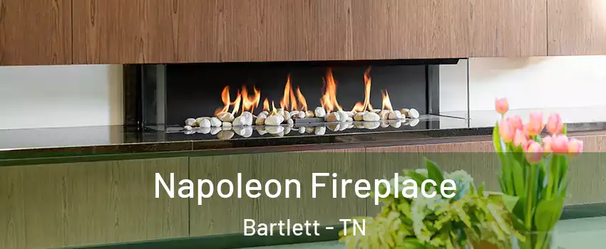  Napoleon Fireplace Bartlett - TN