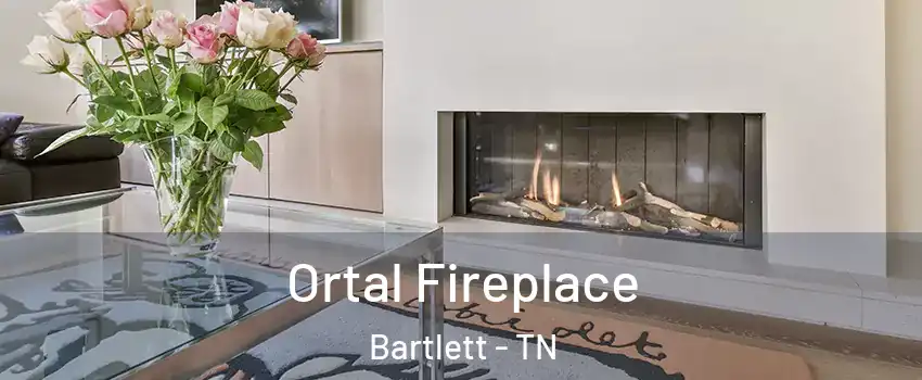  Ortal Fireplace Bartlett - TN